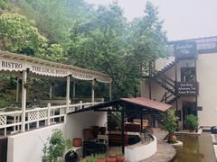 -Local泰莲庭(虹鳟鱼店)