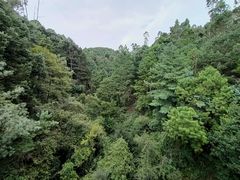 -昆明市金殿名胜区
