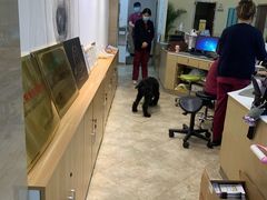 -美联众合动物医院·24h转诊中心