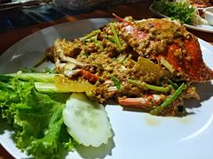 -Jungle Kitchen