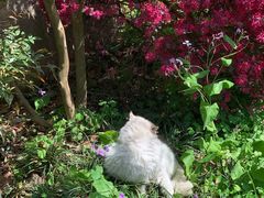 -之江大学-旧址