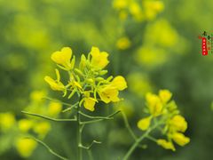 -长春公园(普阳街道)