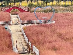 -嘉北郊野公园
