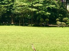 -荔枝公园(福田区)