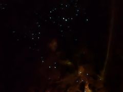 -怀托摩萤火虫洞