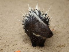 -杭州野生动物世界