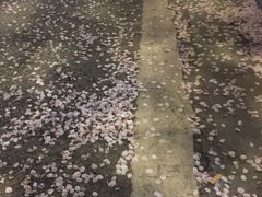 -艾蜜西餐厅(梅园店)