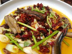 -铁公鸡·四川料理(天环广场店)