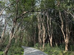 -同里国家湿地公园