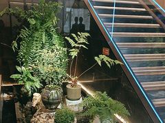 -连鹭海鲜·海肠捞饭·海胆饭(星海店)