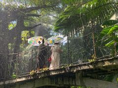 -青青世界