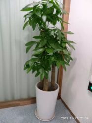 -痘院长·祛痘·皮肤管理