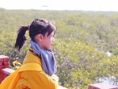 -北海金海湾红树林生态旅游区