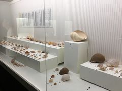 -青岛贝壳博物馆