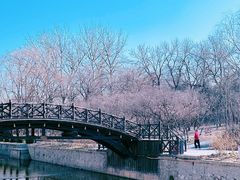 -元大都城垣遗址公园