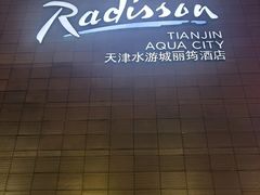 -天津水游城丽筠酒店