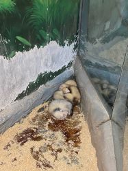 -Zoolung Zoolung动物主题公园(海信广场店)