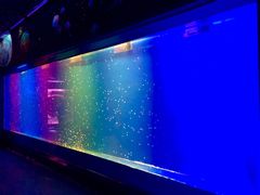 -临沂极地海洋王国