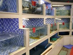 水产区-船奇蒸汽海鲜·闽菜(八市海鲜总店)