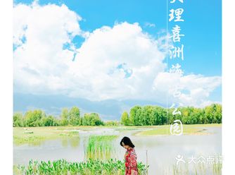 大理旅行地推荐｜喜洲海舌公园最浪漫的夫妻树