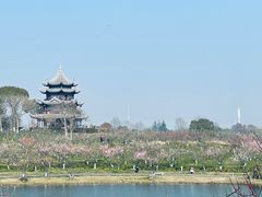 -上海海湾国家森林公园