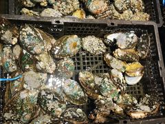 -海鲜e族(马王堆店)