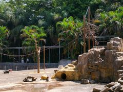 -广东茂名森林公园