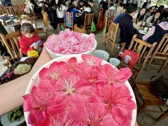 -桃源山庄·水蜜桃采摘·柴火鸡·烧烤团建(龙泉山店)