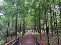 -东钱湖旅游度假区