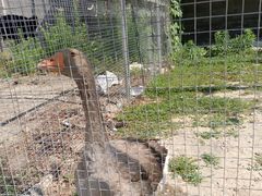 -意大利农场度假村