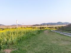 -光明小镇欢乐田园