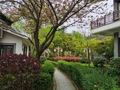 -明月山天沐温泉度假村