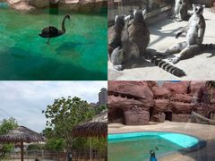 -福州罗源湾海洋世界旅游区