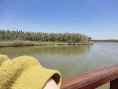 -宁波杭州湾国家湿地公园