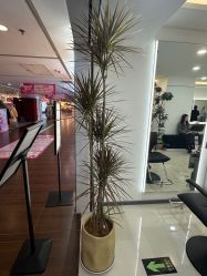-HaLo hair studio