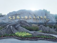 -北京西山国家森林公园