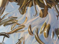 -上海浦南农副产品批发市场