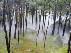 -玉苍山国家森林公园