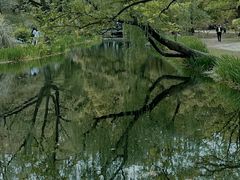 -上海共青森林公园