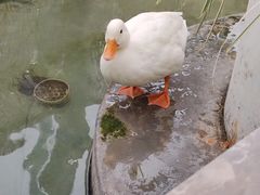 -洛阳龙门海洋馆