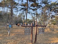 -北京西山国家森林公园