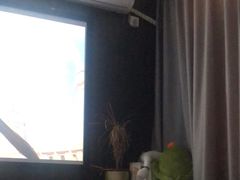 -樱花私人影院