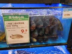 水产区-盒马鲜生(皇庭广场店)