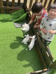 -酷嗒动物文化乐园(cutezoo西溪乐天城店)