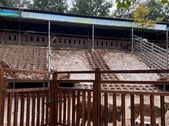 -北京鹿世界主题园