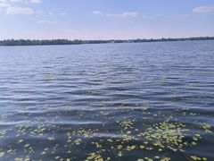 -丁香湖公园
