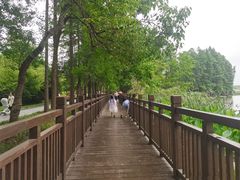 -东湖落雁景区