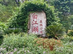 -广州白江湖森林公园