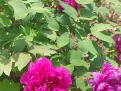 -江南大学(蠡湖校区)