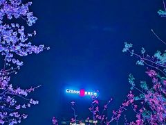 -西北湖绿化广场